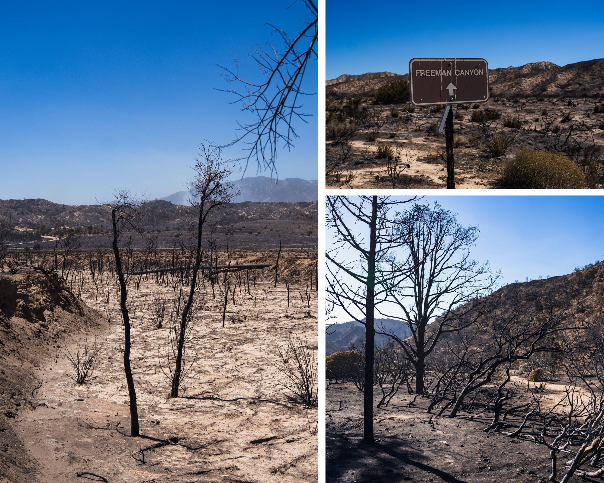post fire collage